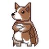 Corgibear