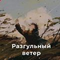 Аватар паблишера Разгульный ветер