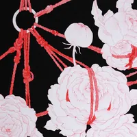 Shibari | Шибари