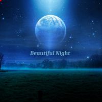 Beautiful Night