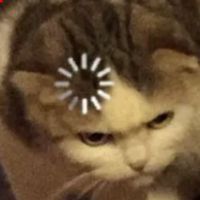 LighterCats
