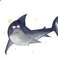 Аватар паблишера Miracle Shark