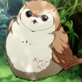Аватар паблишера Night owls