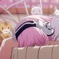 辛查*卡佳龙
