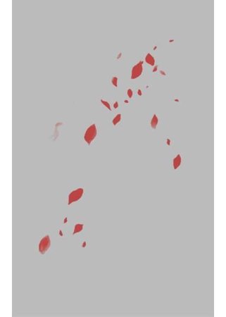 Обои
