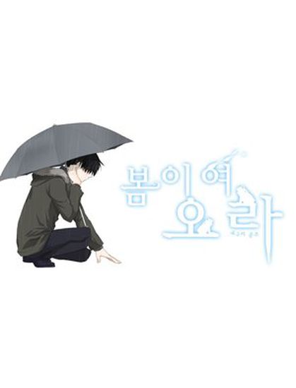 Обои