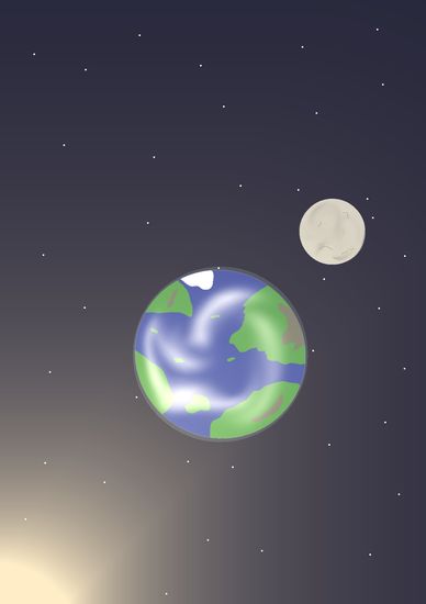 Обои