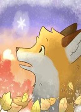 Обои