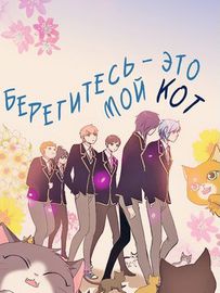 Берегитесь – это мой кот