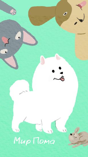 Обои