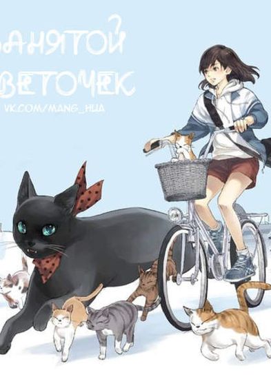 Обои