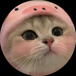 Ktfole