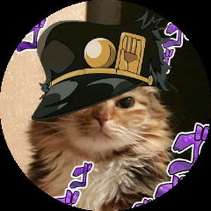JOJO_cat