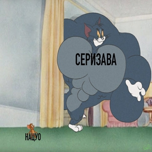 Ibra_ko