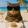 Neko-чан